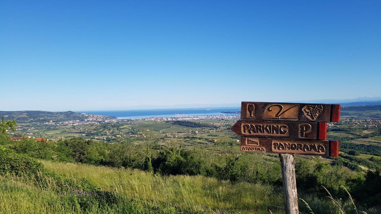 Apartma Panorama Marezige Εξωτερικό φωτογραφία