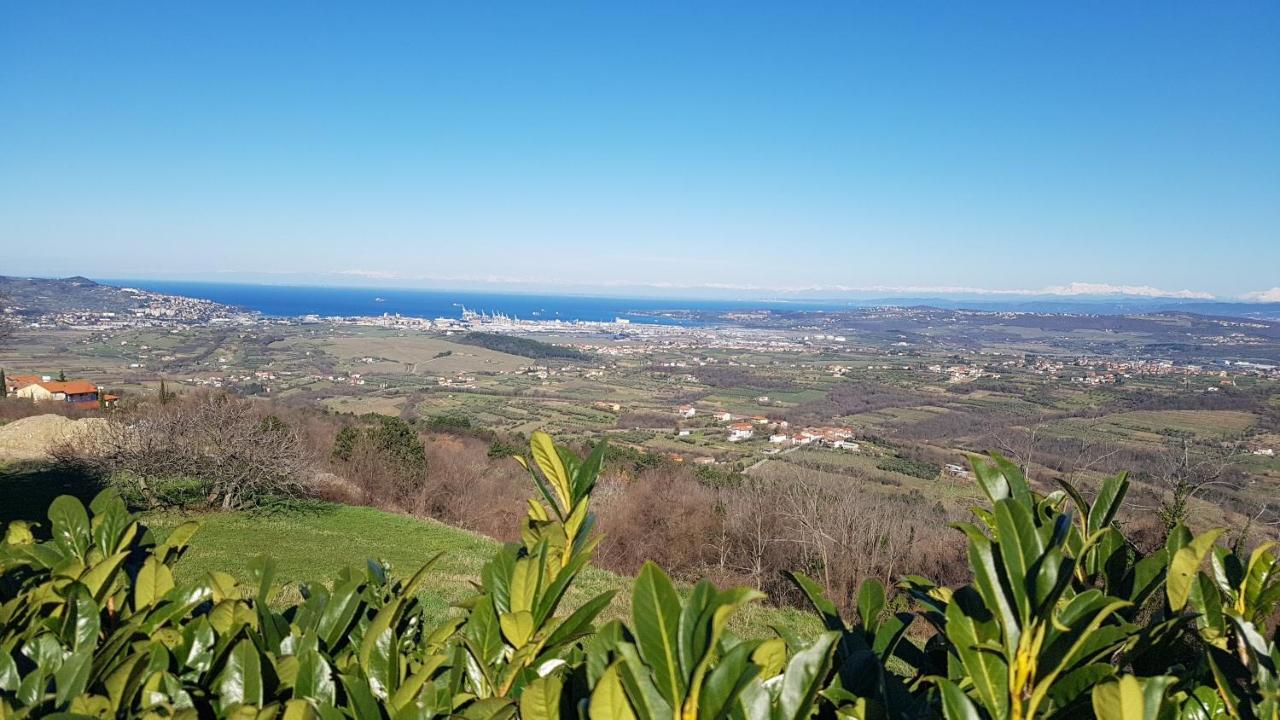 Apartma Panorama Marezige Εξωτερικό φωτογραφία