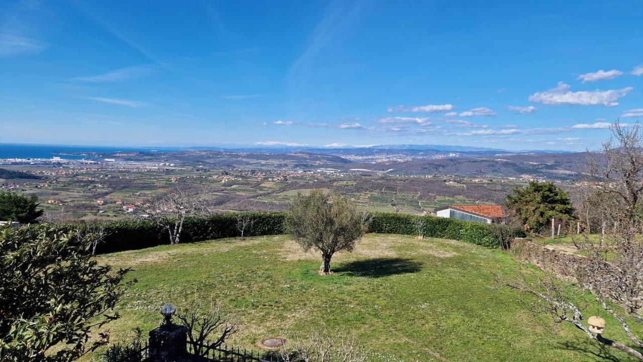 Apartma Panorama Marezige Εξωτερικό φωτογραφία