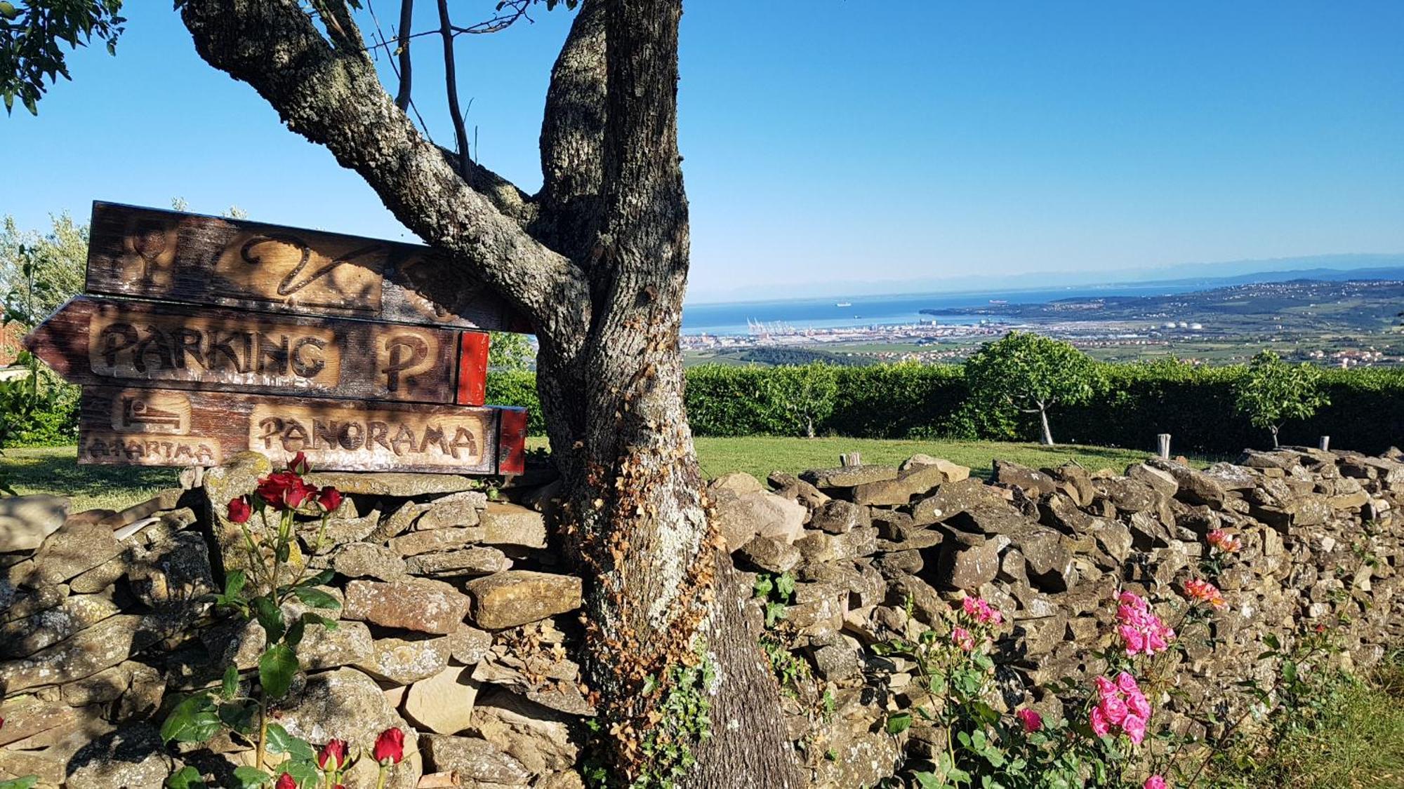 Apartma Panorama Marezige Εξωτερικό φωτογραφία